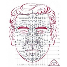 3418 PRECISION ACUPRESSURE/PAIN MANAGEMENT