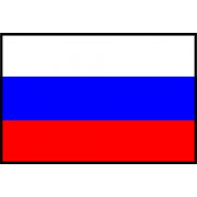 3831 RUSSIAN LANGUAGE CLASS, CONTINUING